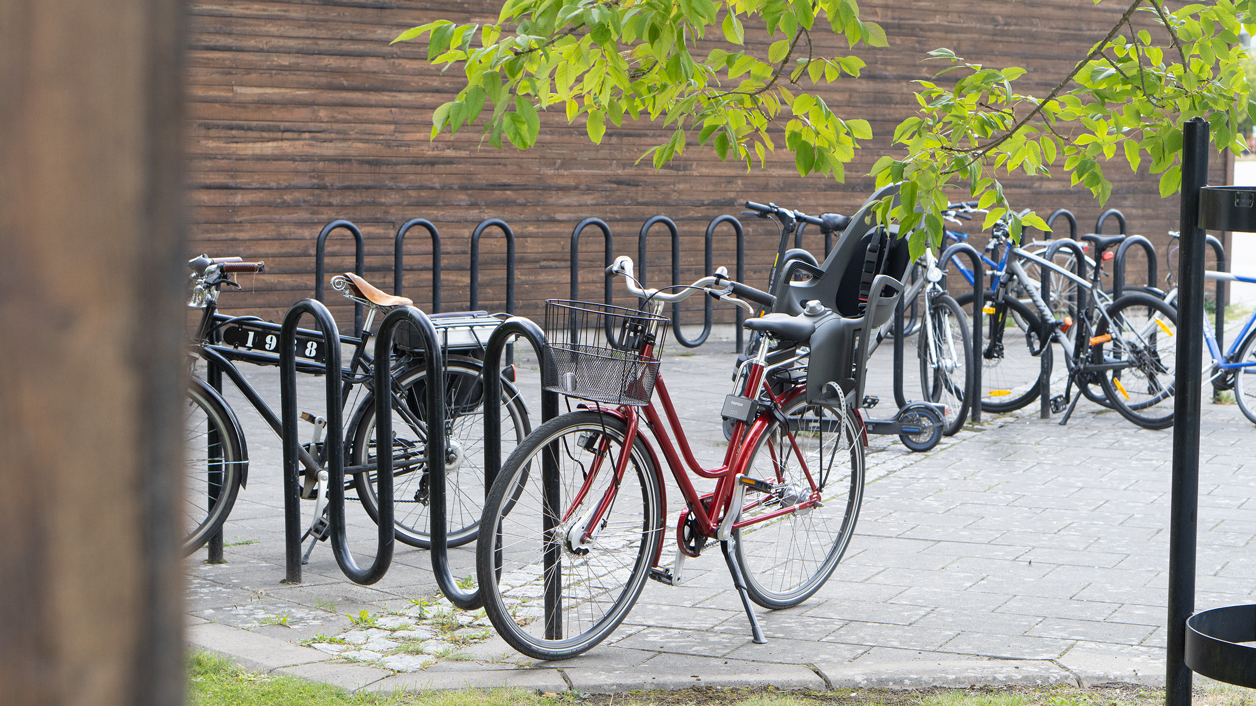 Cykelställ med trädgrenar i förgrunden.