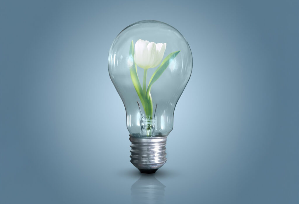 Glödlampa med blomma i.